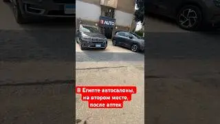 В Каире  автосалоны на каждом шагу