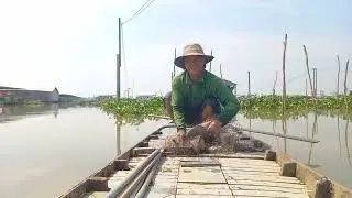Nay mình đi chài cá thiên nhiên