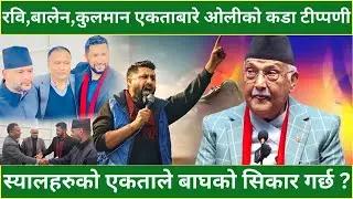 RABI ,BALEN ,KULMAN  एकताबारे KP OLI को कडा टीप्पणी - स्यालहरुको एकताले बाघको सिकार गर्छ ?