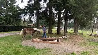 AF Damascus Steel 2020 Rocky Mountain Colt