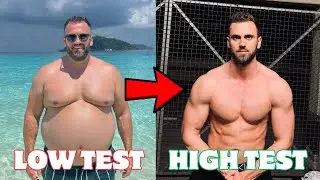 A Full Guide To Increasing Your Testosterone Naturally