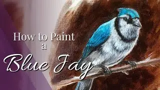 How to Paint a BLUE JAY with Oil Paint or Acrylic Paint - Realistic Bird Tutorial - Oil Painting