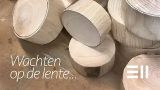 Wachten op de lente      HD 1080p
