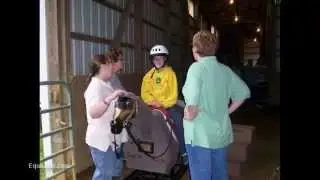 The Equicizer For Equine Assisted Activities & Therapies (adaptive riding)