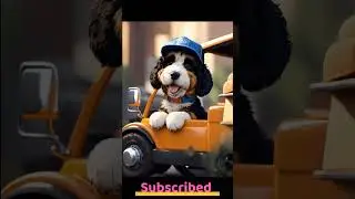 KidSpeed Doggie Drive: Who Let the Dogs Out Fun!  #kidscartoon  #kidsfamily #nurseryrhymes