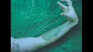 Jerry Cantrell~Anger Rising