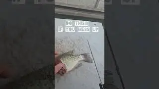 Разделывайте краппи задом наперед!