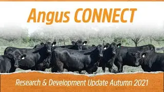 EVENT - Angus CONNECT Research and Development Update &ndash; Autumn 2021