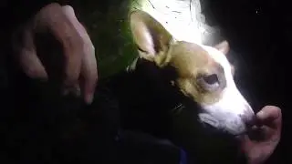 Hiking With Dogs At Night #1 Piethorne Reservoir - Dec 2016