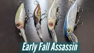 Early Fall Sneak Attack!!! Get creative for Big Fall Schooling Fish!!!