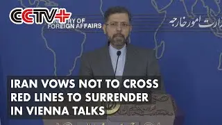 Iran Vows Not to Cross Red Lines to Surrender in Vienna Talks