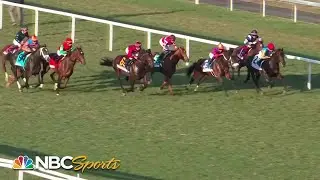 2024 Kitten's Joy Stakes (FULL RACE) | NBC Sports