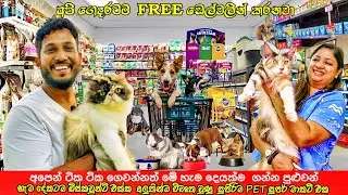 අපි හැමදෙකටම Discount එක්ක 🤑 Free Delivery වගෙම ගෙවිමෙ ක්&zwj;රමයටත් මෙ හැමදෙම දෙනවා😍 @favoritpetbook