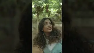 Grape Farms / Vineyards of Thekkady | @hillsandhuesthekkady