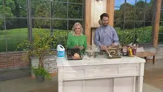 Veranda Living Double Scroll Border Reversible In/Outdoor Rug on QVC