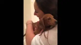 Puppy surprise