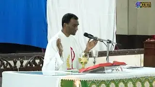 Mass in English - 27th January 2026 - Our Lady of Immaculate Conception Church, Panjim