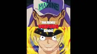 Akainu vs Sabo