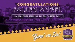 2025 Coolmore America 'Justify' Matron Stakes - Fallen Angel