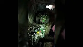 Pateshwar temple