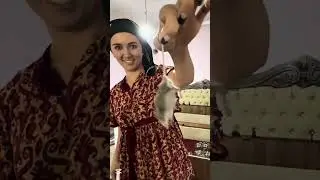 Remont 3 fasl 1 qism 📌#minivlog #remont #ovsinjonlar#vlog #tiktokvideo #kelinhayoti #youtubeshorts
