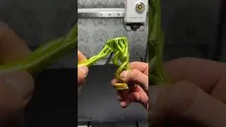 Double Helix DNA