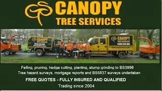 Best Tree Surgeon In Nottingham | Canopy Tree Services Nottingham | 0115 832 0247