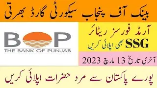 bank of punjab security guard job 2023 | job daily 24 | bank of punjab security guard
