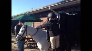 Flipagram - Tryon International. Nov.2014