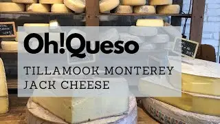 Oh!Queso: Tillamook Monterey Jack Cheese