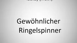 How to say lackey (moth) in German? Gew&ouml;hnlicher Ringelspinner