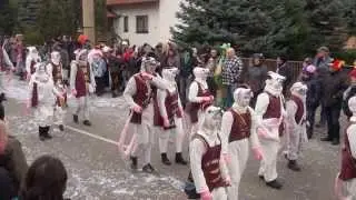 Bilder 480.Wasunger Karneval 2015