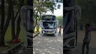 Bus andara TO
