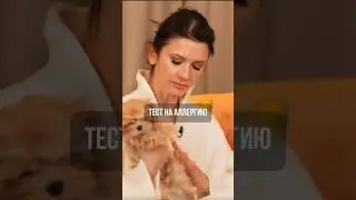Тест аллергии на собаку. Аллергия на собак.