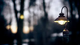 Triste Sorte - Camané