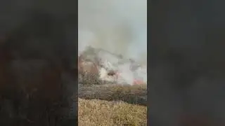 Incendiu la Salcia, Dolj