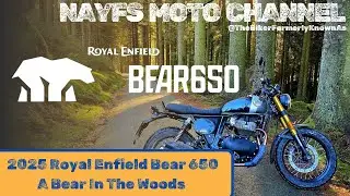 2025 Royal Enfield Bear 650 | Road Trip Test Ride UK | A Bear In The Woods
