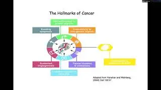 Dr. William J. Muller, Goodman Cancer Research Centre
