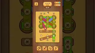 Wood Nuts & Bolts Puzzle Level 69