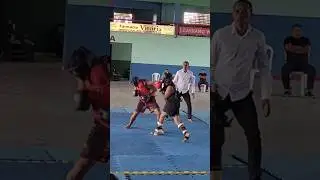 SANDA #boxechines #sanda #sandaboxechun&ecirc;s #kungfusanda
