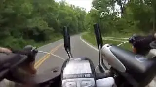 53.7 MPH on a Trek Road Bike