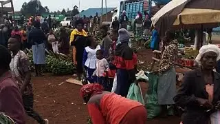 Our country Kitchen Garden, Magena Market, Kisii