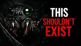 Nothing About Spiders Is Normal&hellip; Here&rsquo;s Why 🔥#Spiders #ScienceDocumentary #facts  #ThisShouldntExist