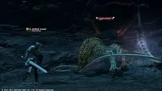 Final Fantasy XIV 1.0 - Coeurl Notorious Monster