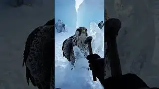 Frozen in Silence: Hyper-Realistic ... Rescue Trapped in Ice
