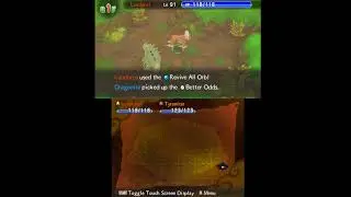 Pok&eacute;mon Super Mystery Dungeon - Unused Second Chance with Go For Broke