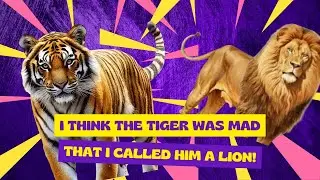 Lions or Tigers??