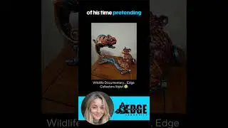 Nature documentary&hellip; Edge Collectors edition. 🎬💙