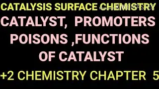 Catalyst/catalytic promoters/catalytic poisons/functions of catalyst +2 chemistry L-5 chanderpreet
