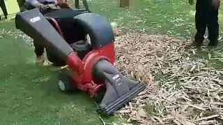 Vacuum shedder from MTD